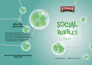 Social Bubbles